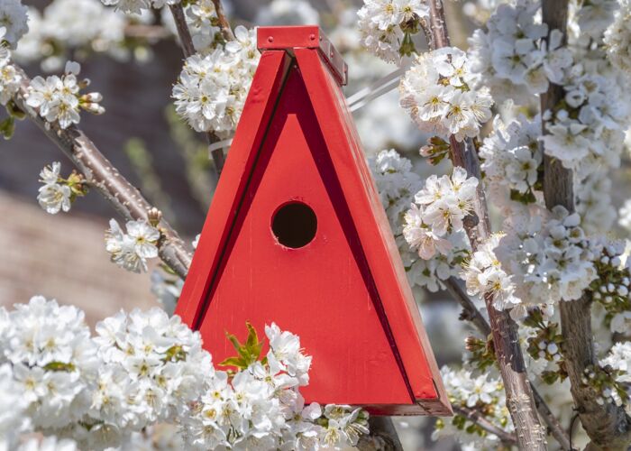 Immobilienklima im Frühling 2023 nicht in Hochform